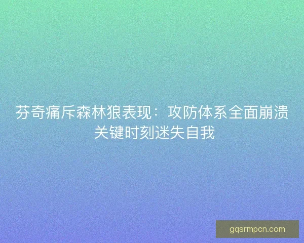 芬奇痛斥森林狼表现：攻防体系全面崩溃 关键时刻迷失自我